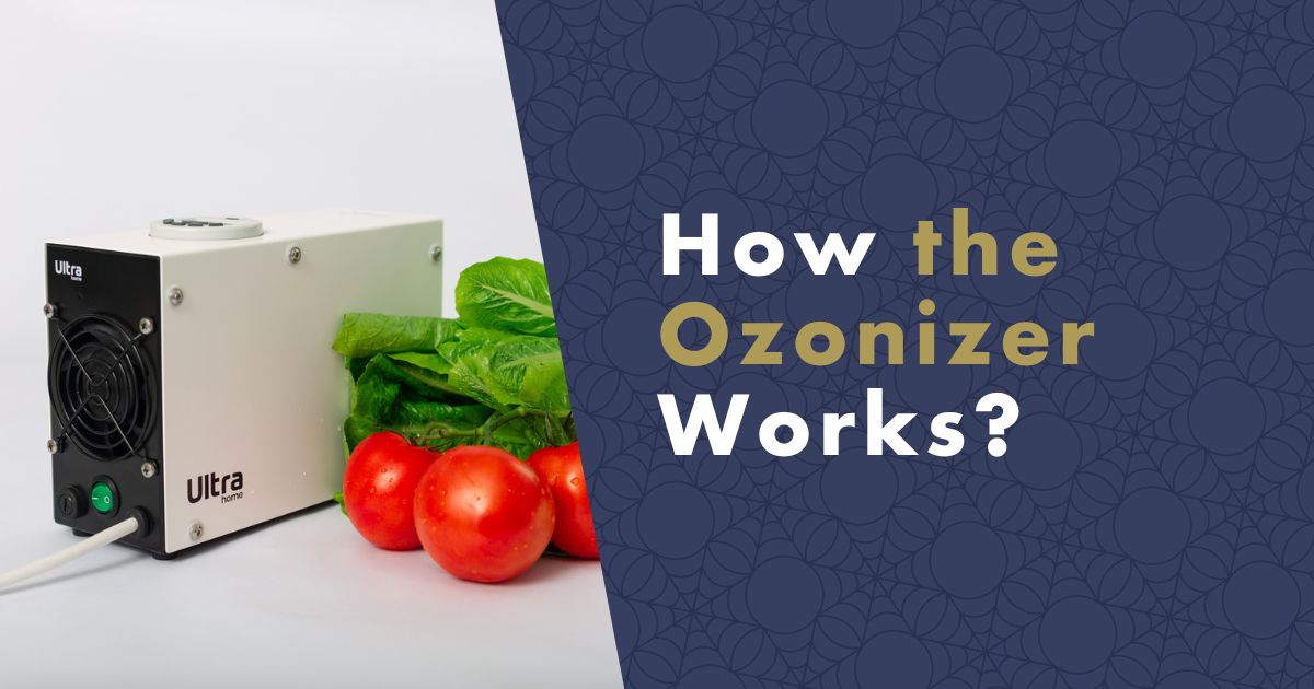 How the Ozonizer  Works - fb